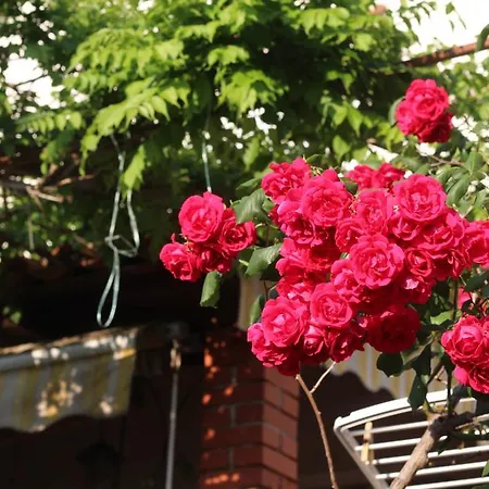 Lejlighed Nevija Rovinj